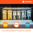 fb8ed695ed2faa44cce2473f5d5a078a