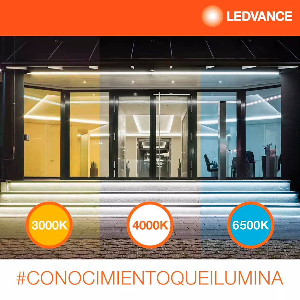 fb8ed695ed2faa44cce2473f5d5a078a