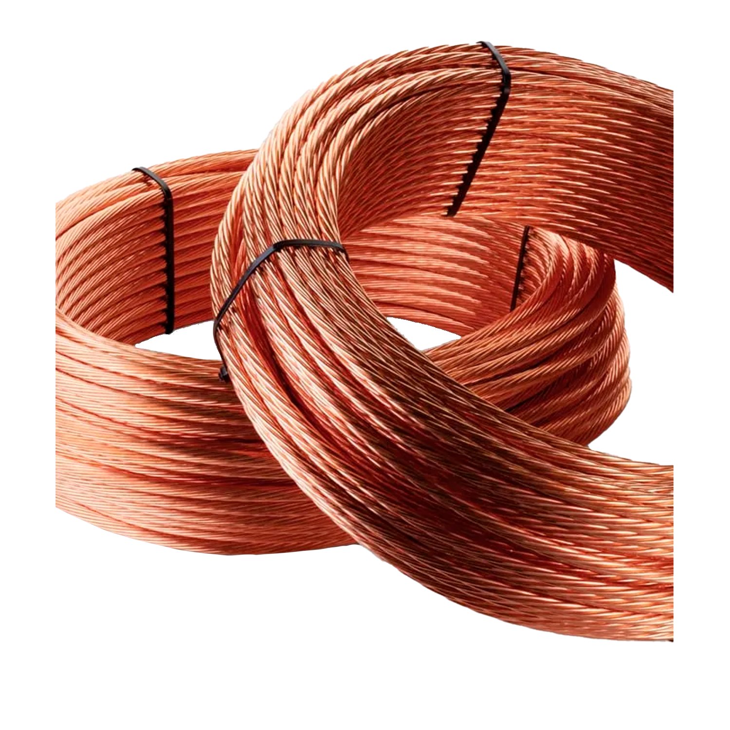 d65febfbdff1a46b0852dabebf869831