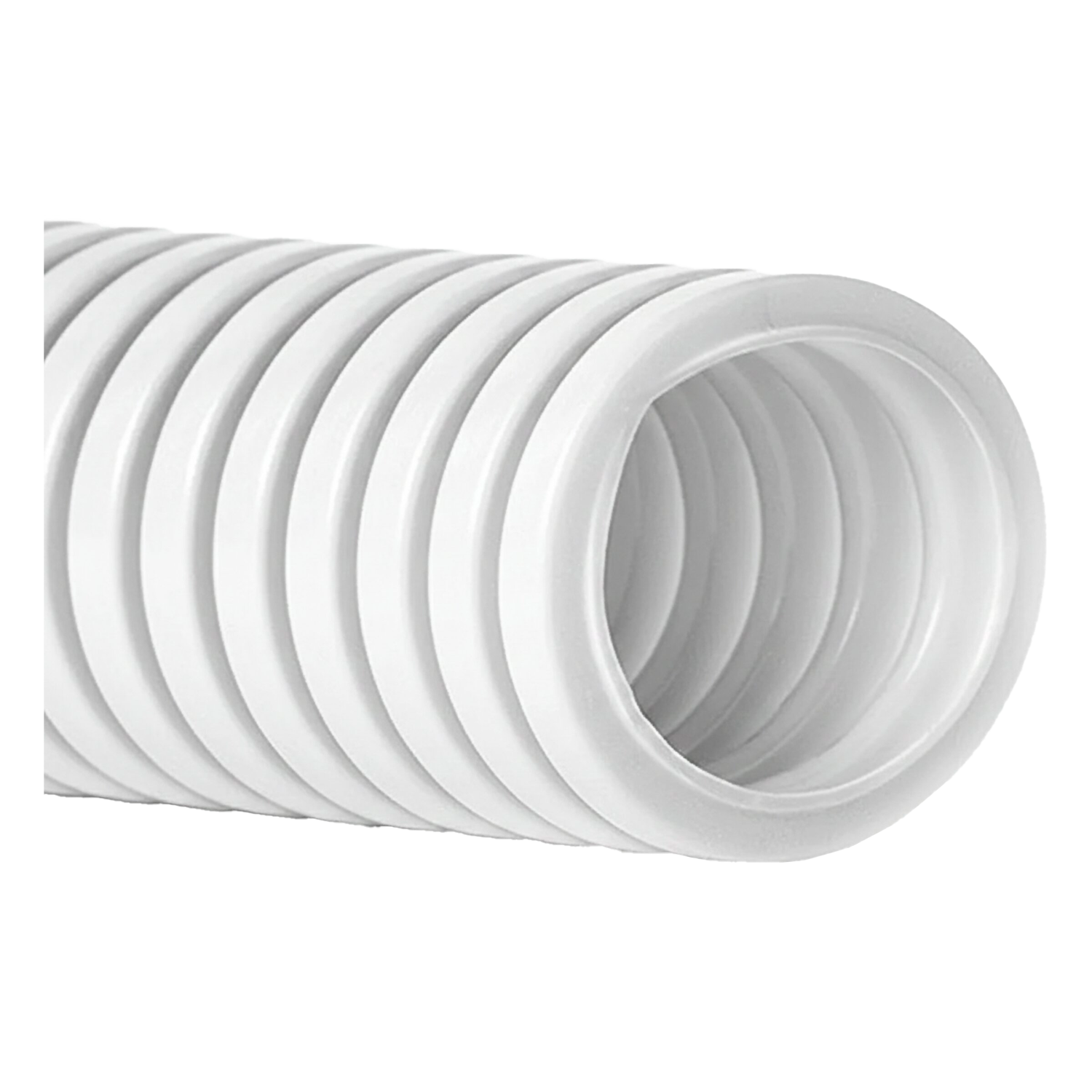 57583985e348a9f8b9956d617a504448