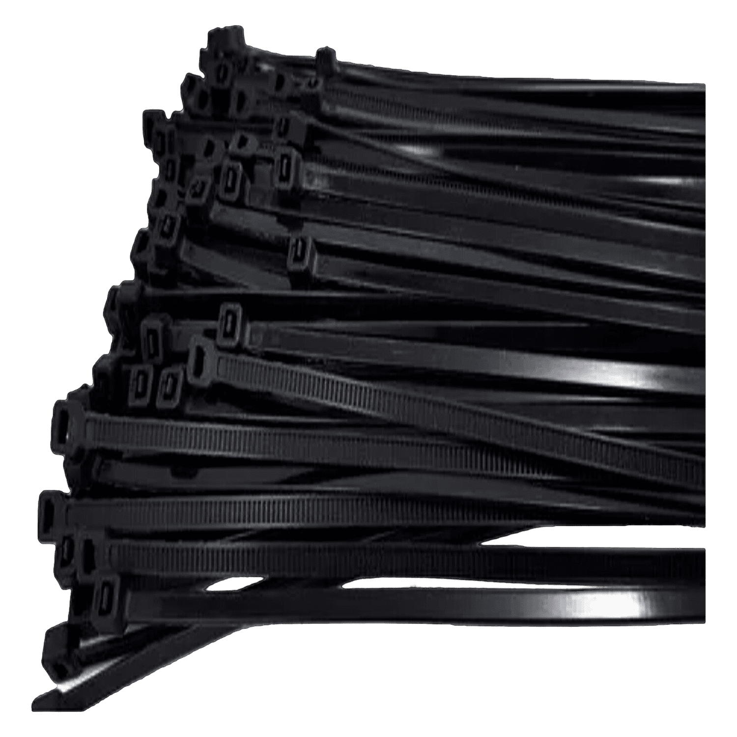 fe8c6d096b5dd6253ad039a4a08081d8