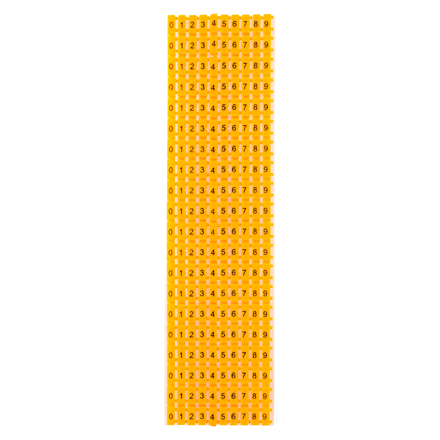 c50ba60822667a1ce50c6d7a85553fc8