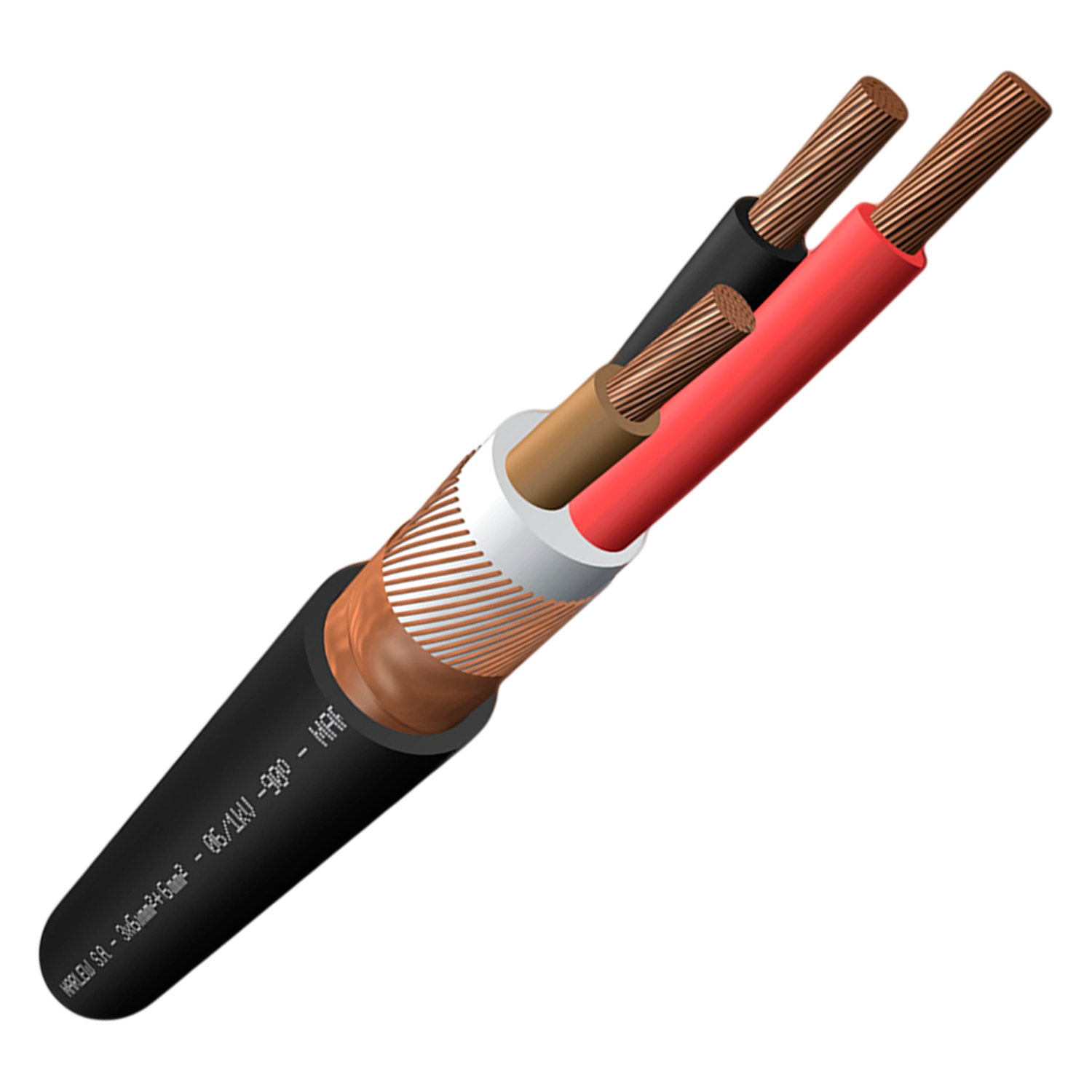 e747b87505305f0939b7bd49961753e7