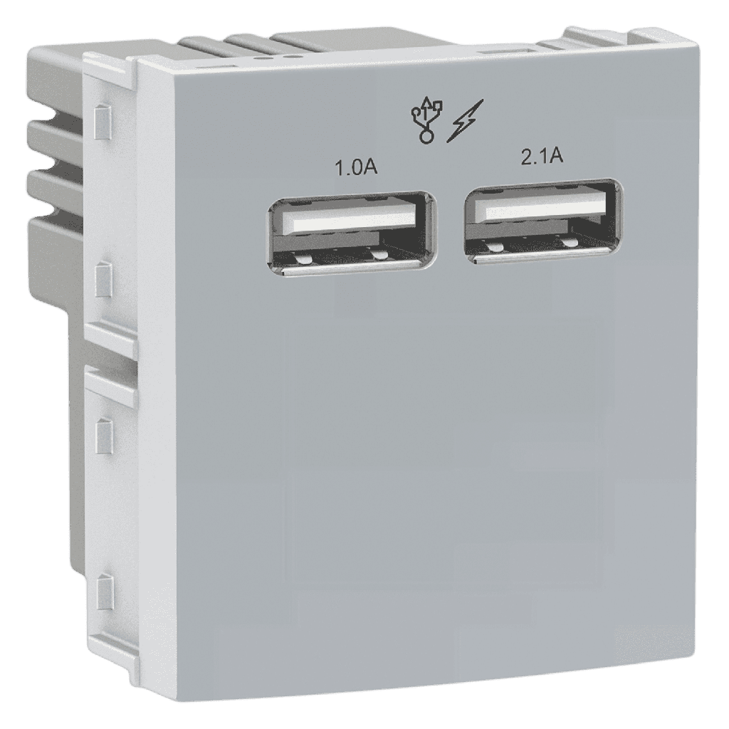 Módulo 2 Toma USB 2 Múdulo Ocupado 2,1A Blanco Schneider Electric