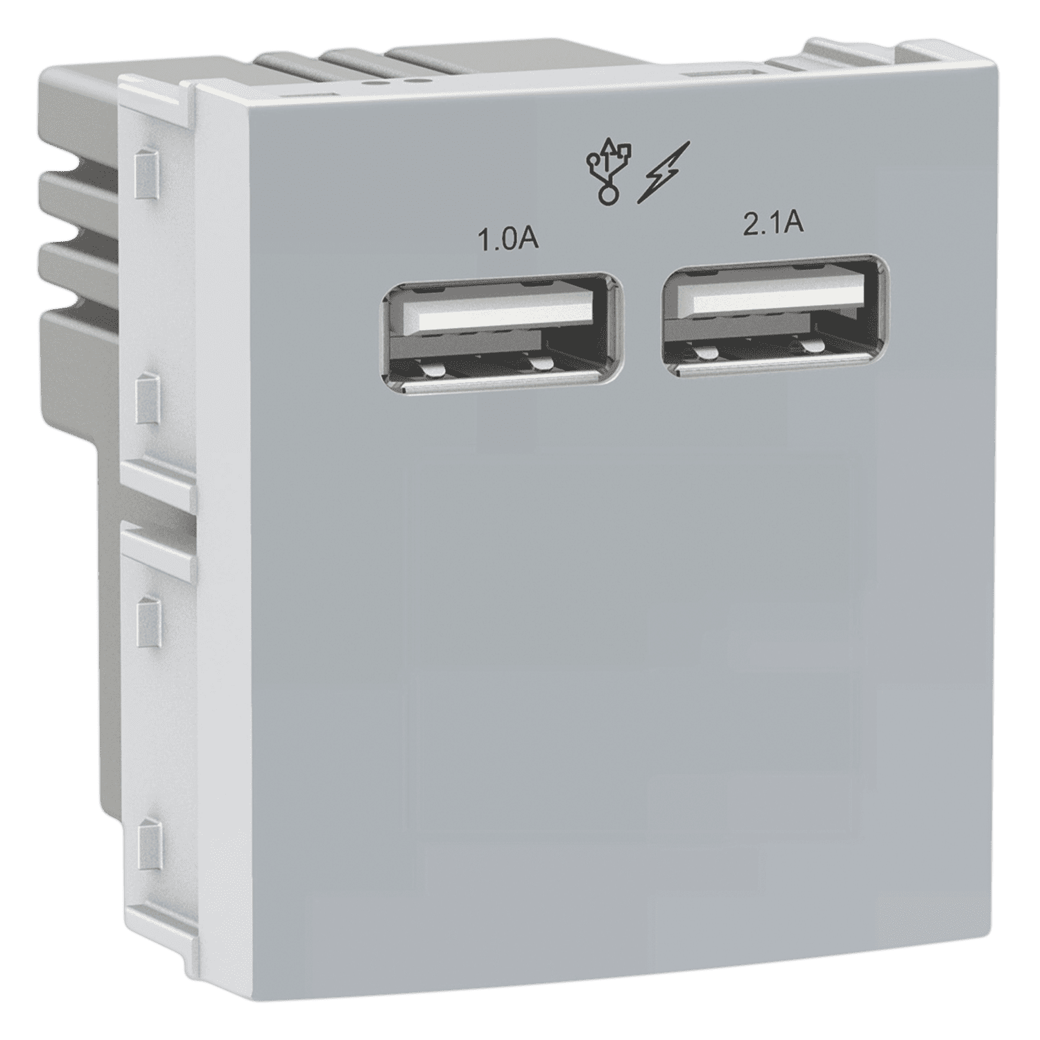 Módulo 2 Toma USB 2 Múdulo Ocupado 2,1A Blanco Schneider Electric