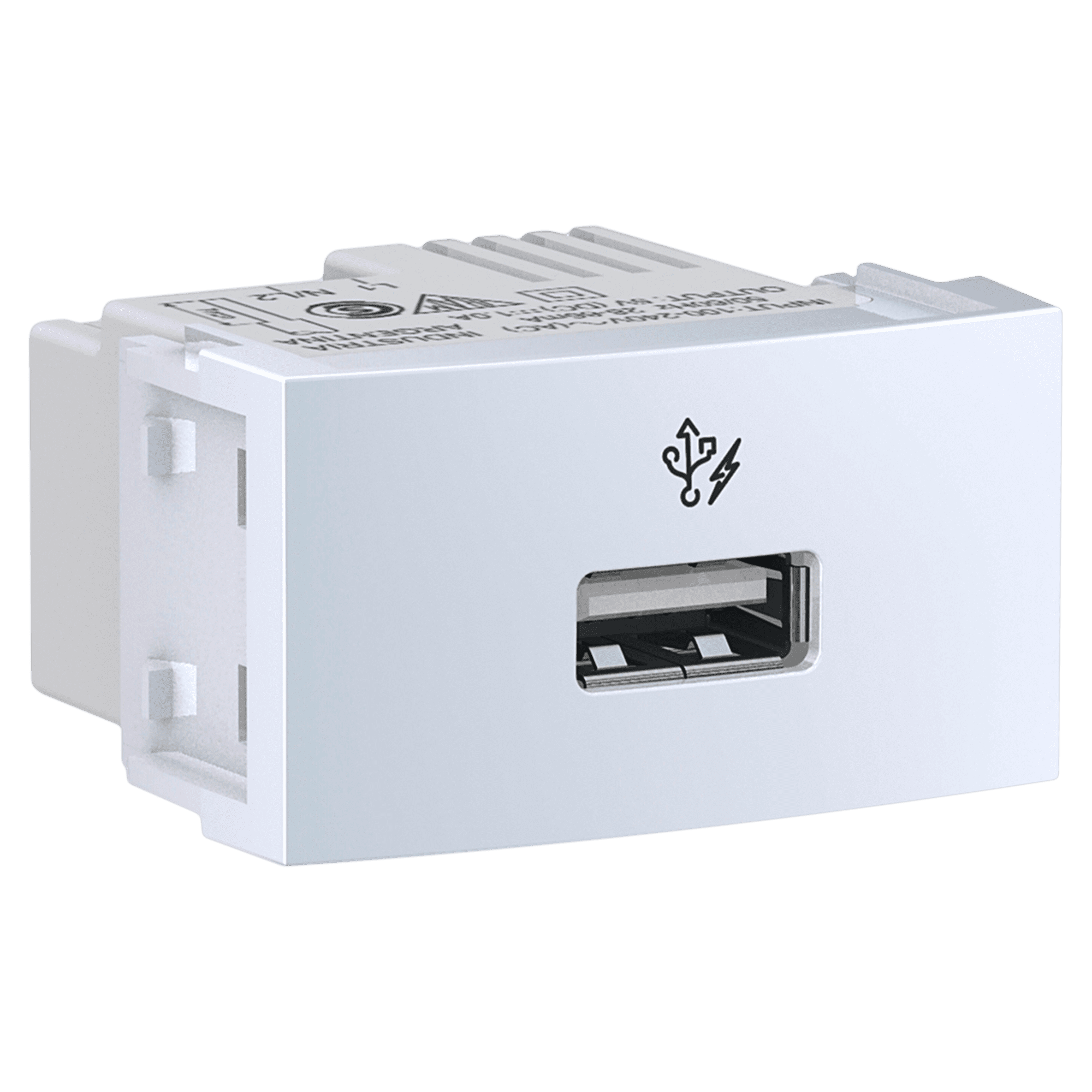 Módulo 1 Toma USB 1 Múdulo Ocupado 1A Blanco Schneider Electric