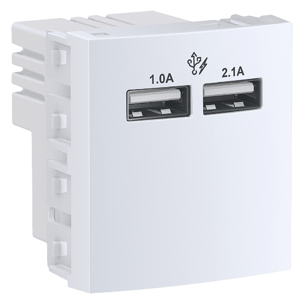 Módulo 2 Toma USB 1 Múdulo Ocupado 2,1A Blanco Schneider Electric