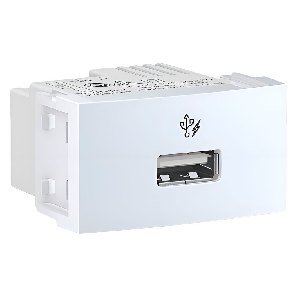 [31355] Módulo 1 Toma USB 1 Múdulo Ocupado 1A Blanco Schneider Electric