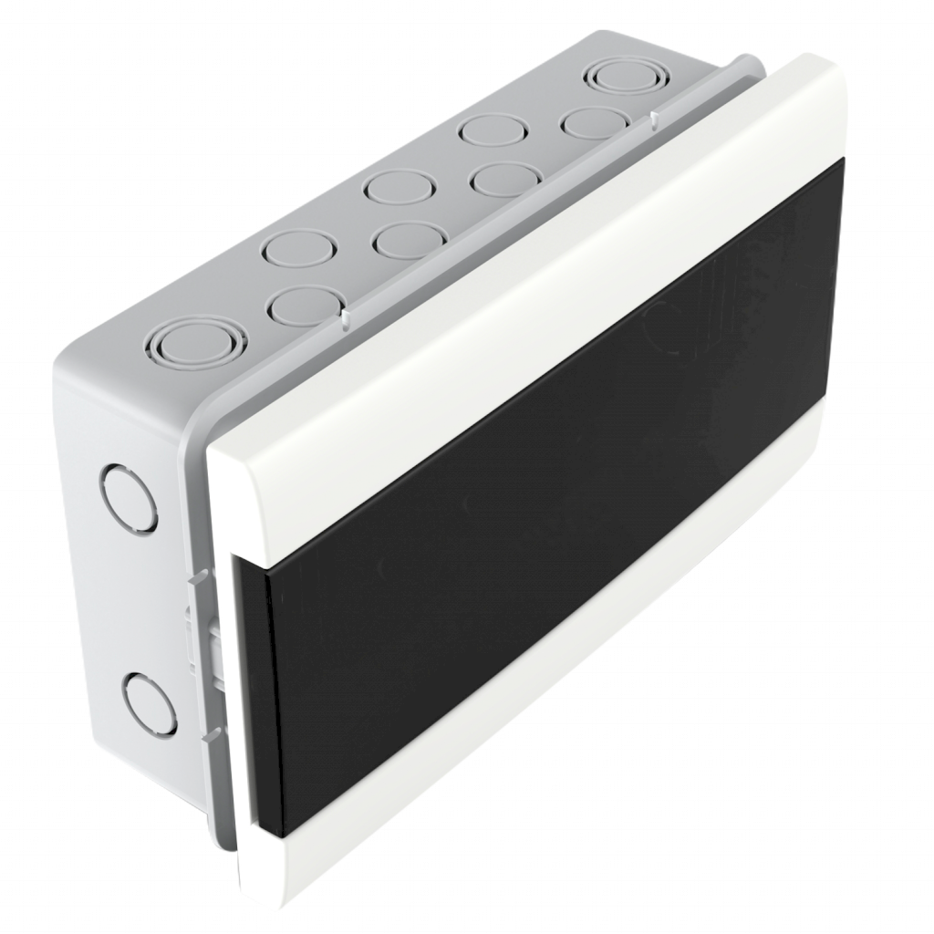 CAJA TM EMBUTIR 12 POLOS BLANCA PUERTA FUME 04012