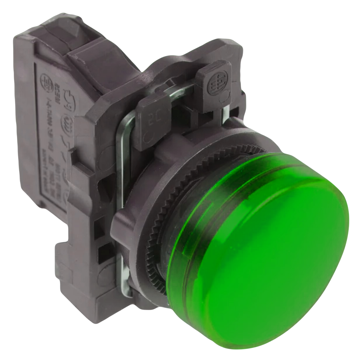 [29568] Ojo de Buey XB5 Plástico 220VCA/VCC 22mm Verde Schneider Electric