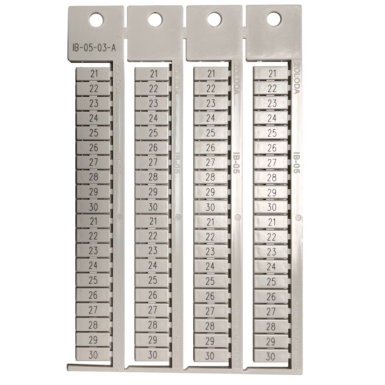 Plancha Números 21-30 8 Juegos Apaisado Blanca Zoloda