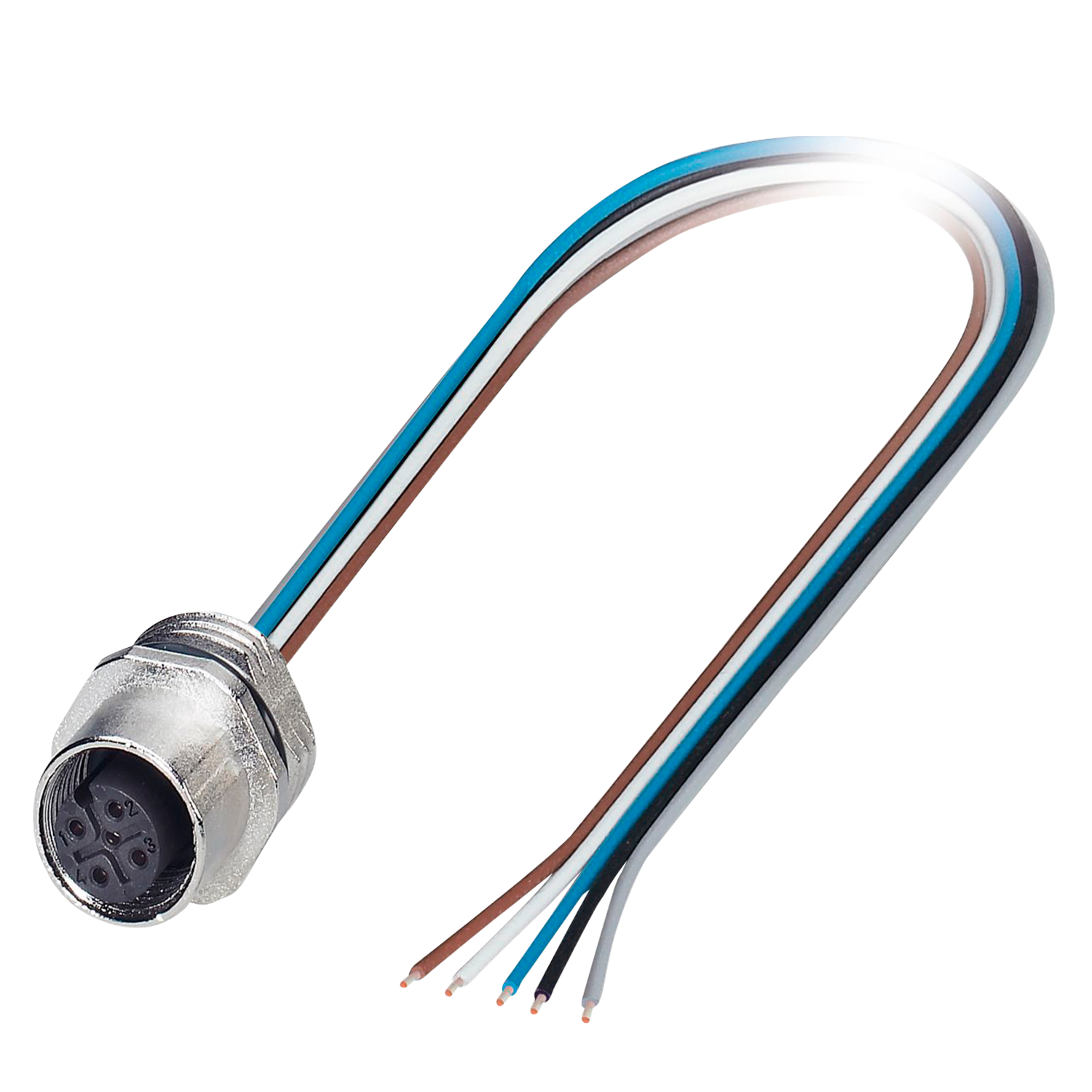 Conector M12 5 Polos Hembra PG 9 Phoenix Contact