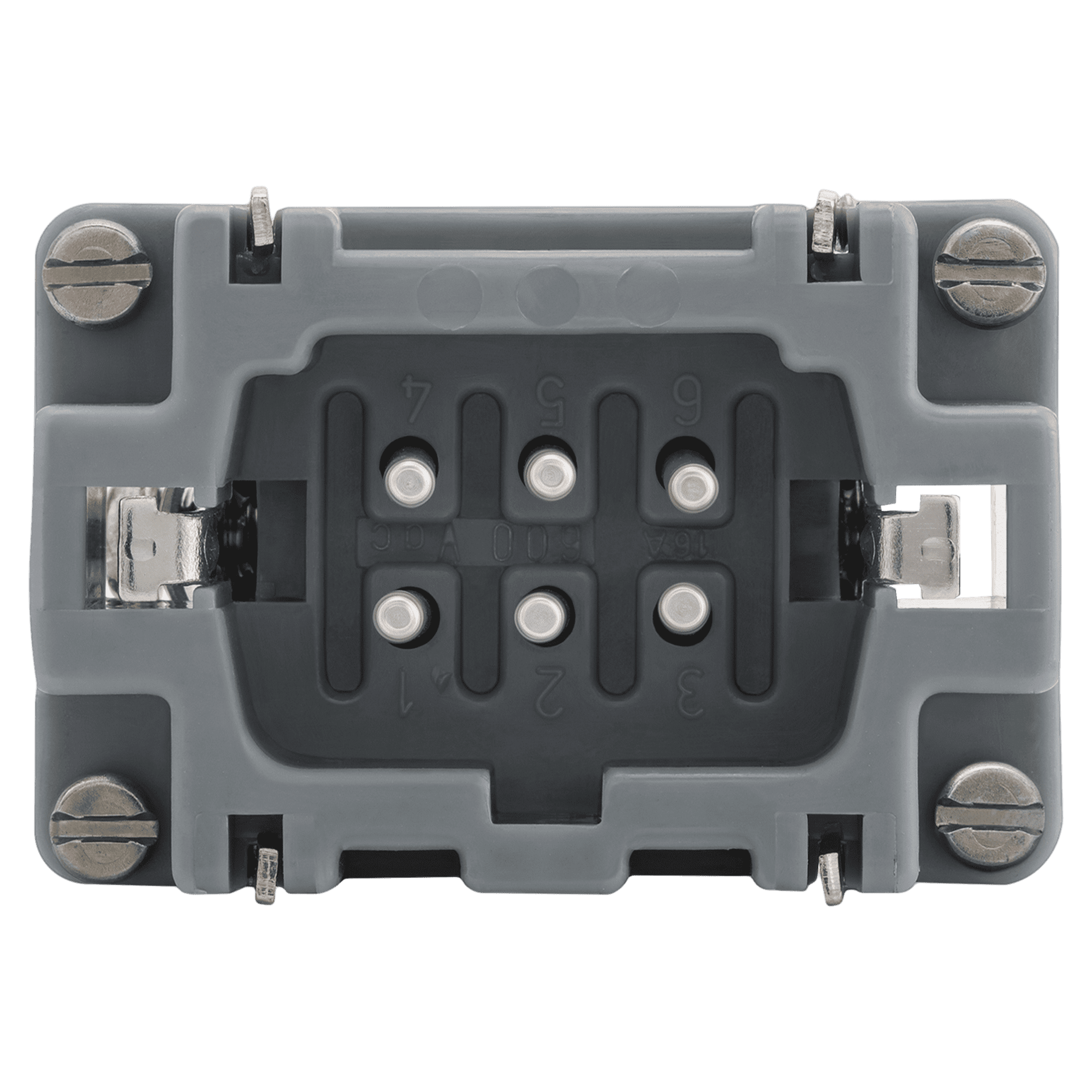 Nucleo Macho 6 Polos Steck Electric