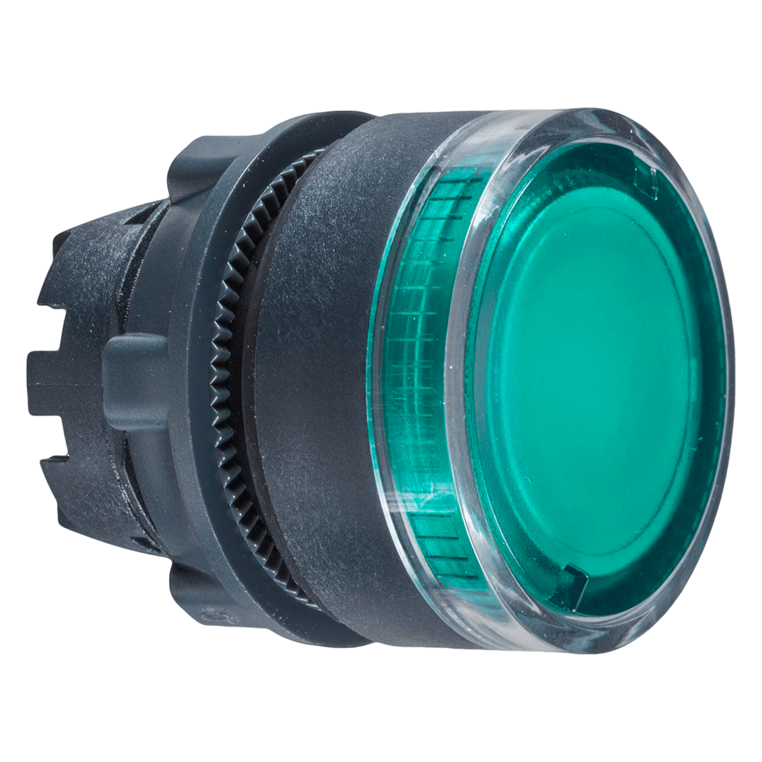 [30552] Cabezal Pulsador XB5 Plástico Luminoso S/Soporte Verde Schneider Electric