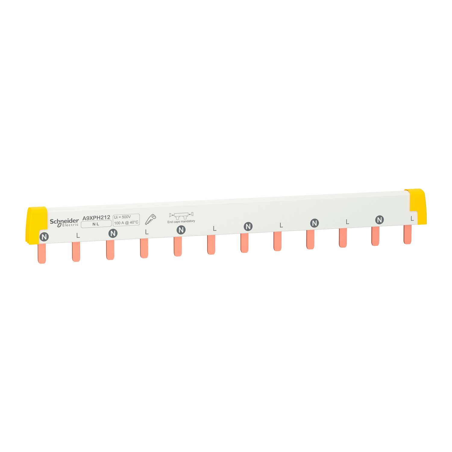 [33658] Peine Bipolar 100A 12 Polos Schneider Electric